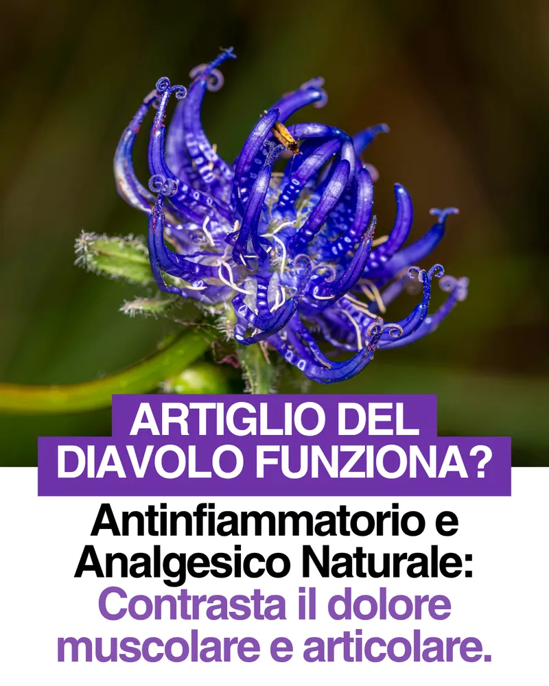Artiglio del Diavolo, la pianta alla base della formula