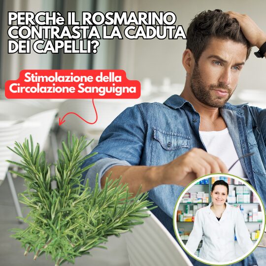 Rosmarino favorisce la vitalita' dei capelli