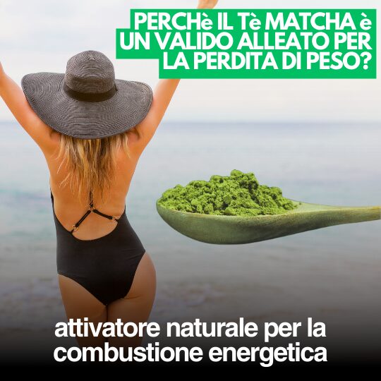Matcha Tea ingredienti premium