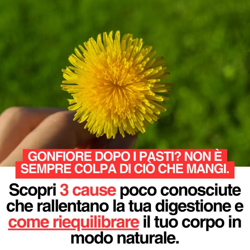 Gonfiore addominale: 3 cause insospettabili e come affrontarle in modo naturale 49