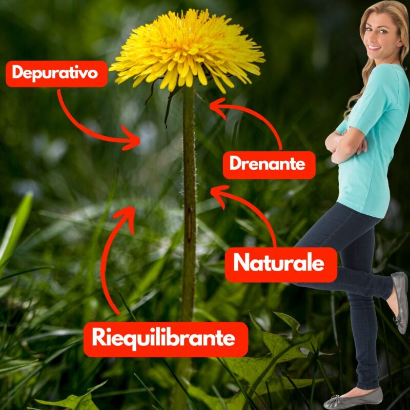 Gonfiore addominale: 3 cause insospettabili e come affrontarle in modo naturale 49